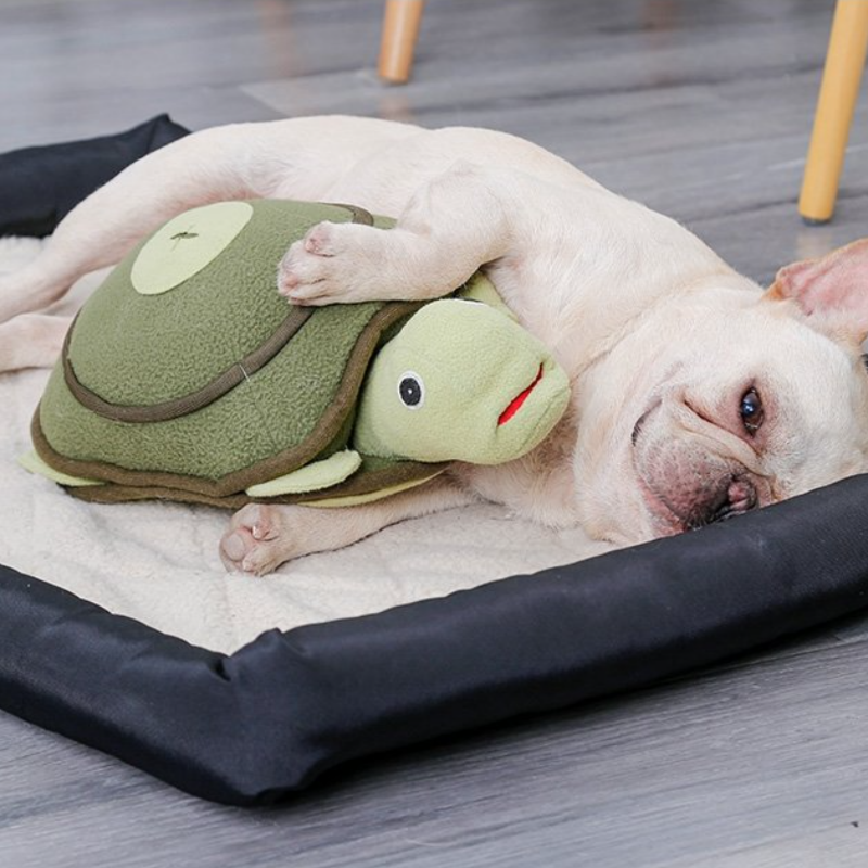 Turtle Treat Puzzle Turtle Treat Puzzle Snuffle Mats For DogsSnuffle Mats For Dogs Turtle Treat Puzzle Snuffle Mats For Dogs